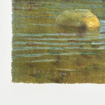 Stanislaw Zoladz, Sunlit rocky beach.