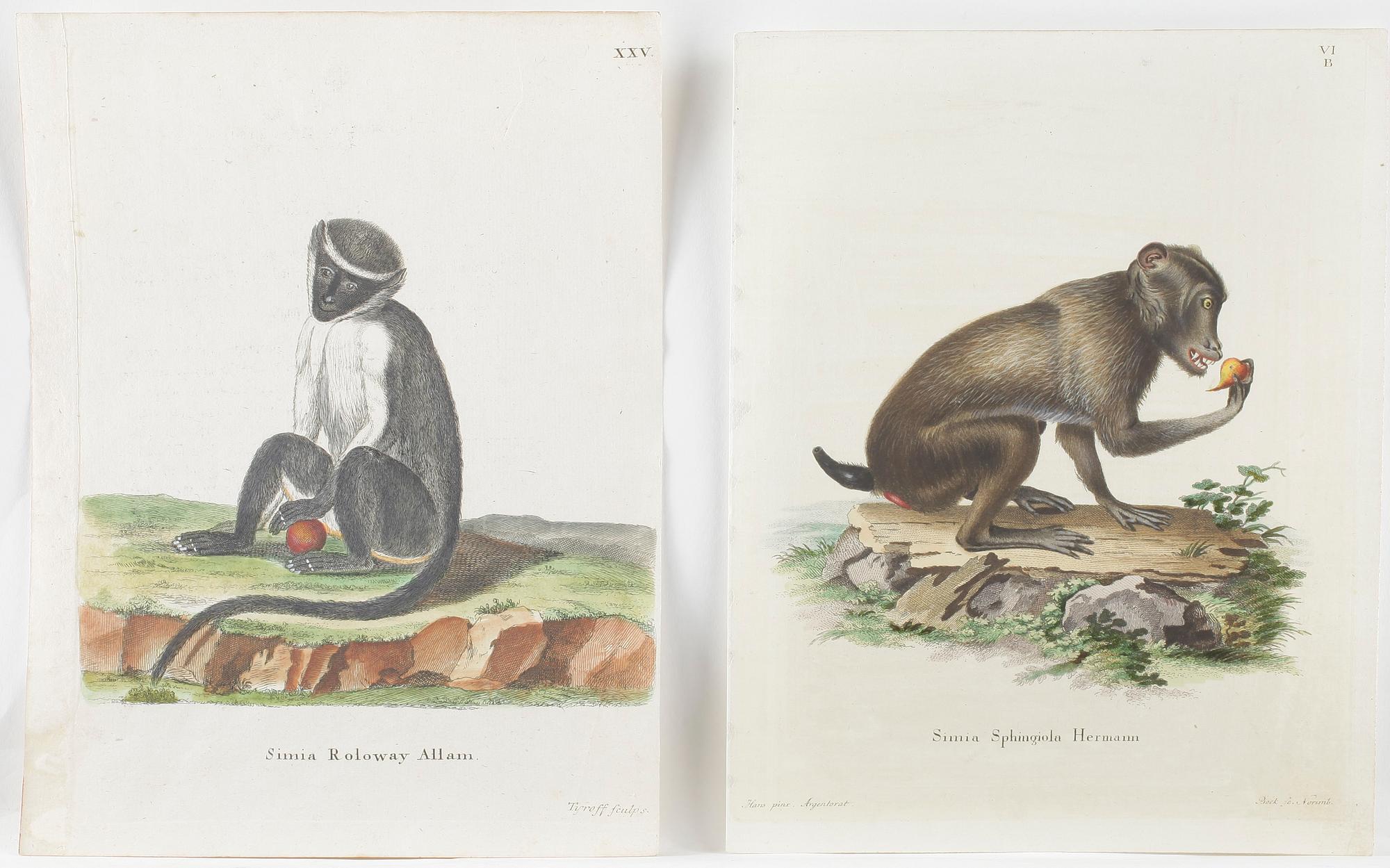 KOLORERADE KOPPARSTICK, 8 st, apor, 1700-tal.