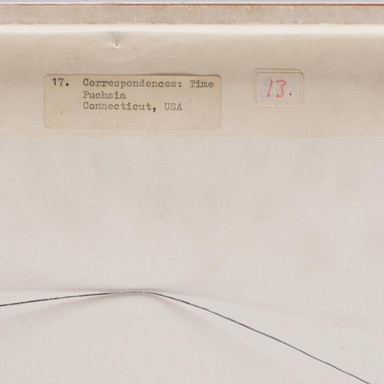 Michelle Stuart, "Correspondences: Time Connecticut Fuchsia".