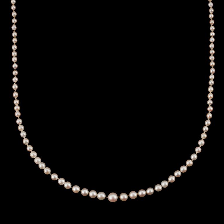 A cultivated saltwater pearl necklace. Circa 3.3-7.5 mm. Clasp with old cut diamonds, total gem weight circa 0.75 ct.