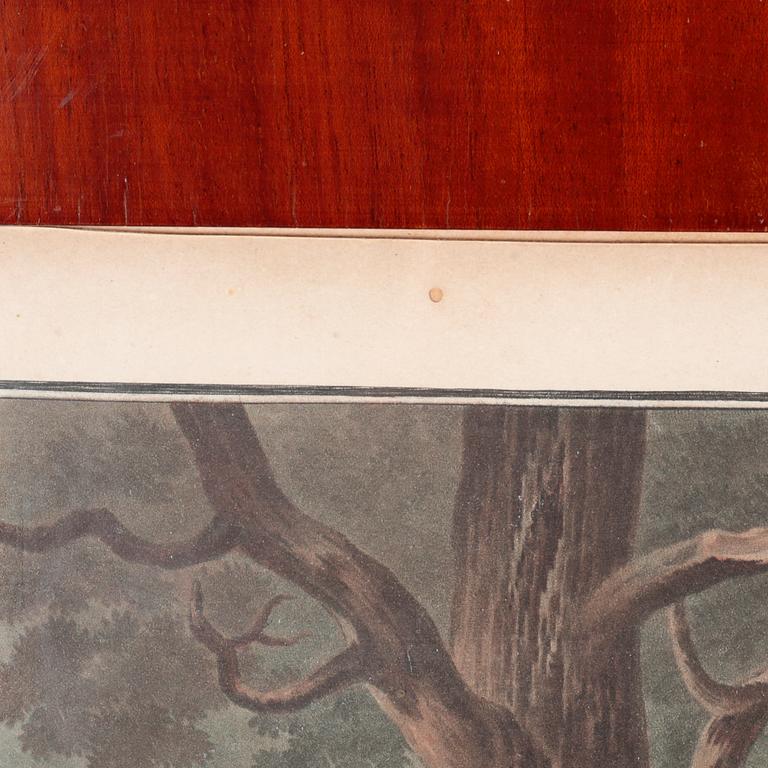 Six etchings in color by Charles-Melchior Descourtis after Jean-Frederic Schall, 18th or 19th century.