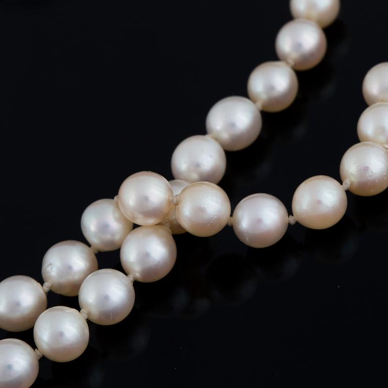 Cultured pearl necklace.