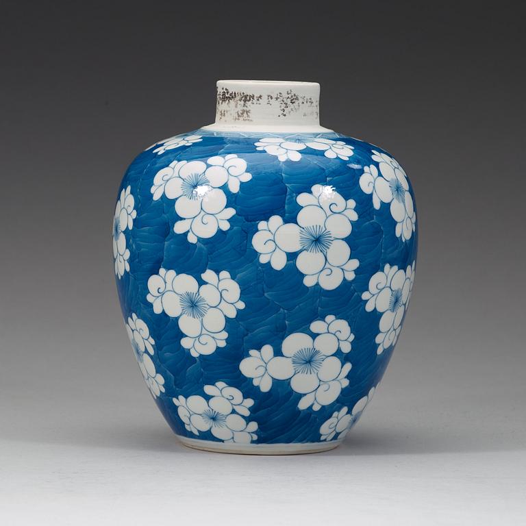 A blue and white jar, Qing dynasty, (1644-1912).