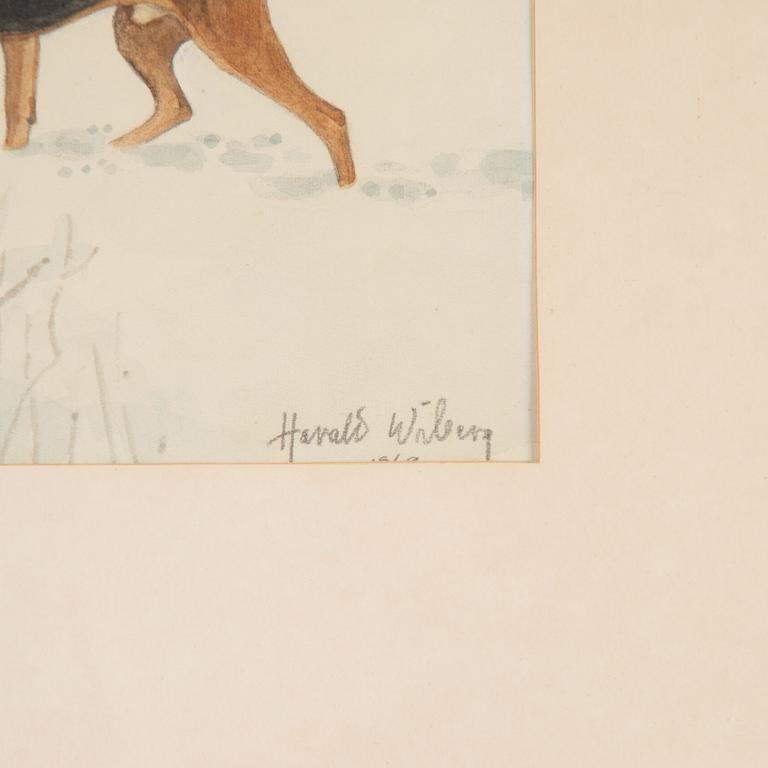 Harald Wiberg, Hamiltonstövare och hare.