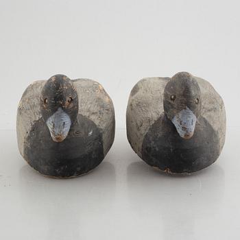A set of four decoy ducks, first half of the 20th Century.