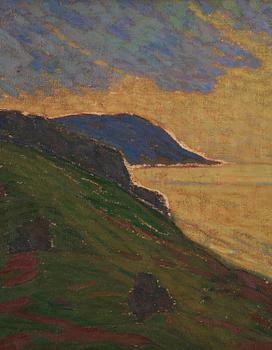 Ellen Trotzig, View from Vik of Stenshuvud.