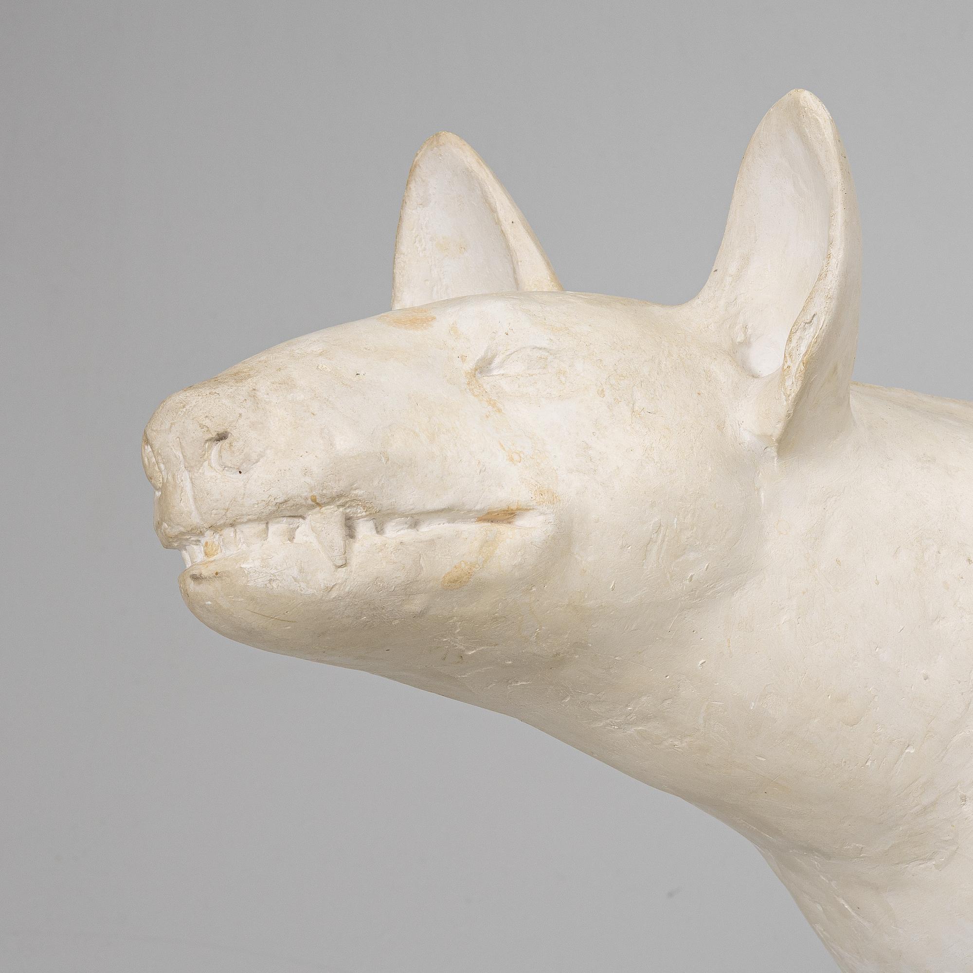Sonja Pettersson, Bull Terrier.