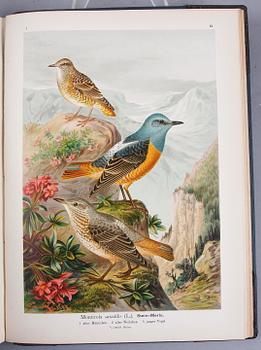 BÖCKER, 12 band,
"NATURGESCHICHTE DER VÖGEL MITTELEUROPAS" av Johan Andreas Naumann, 1897-1905.