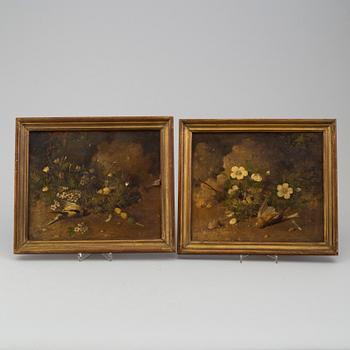 WILLIAM HENRY HUNT, his circle, a pair of bird nest paintings, oil on canvas, signed.