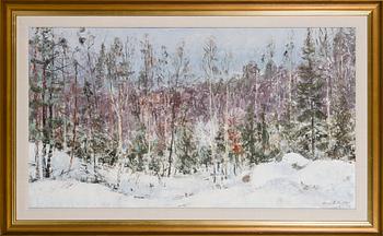 Aares Salli, Vintrig skog.