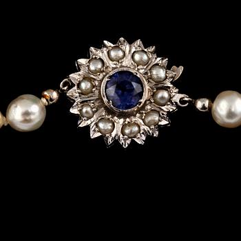 PÄRLCOLLIER, odlade pärlor med lås i 18k vitguld med 10 odlade pärlor och fasettslipad blå safir.