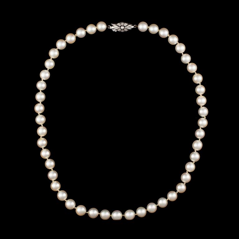 PÄRLHALSBAND, lås 14K vitguld. Pärlornas diameter ca 7,5 mm.