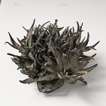 Roland Persson, "Aloe Vera".