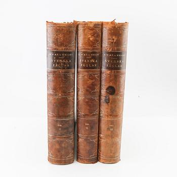 Bröderna von Wright, bokverk, 3 vol "Svenska fåglar", A. Börtzells tryckeri AB, Stockholm, 1924-1929.