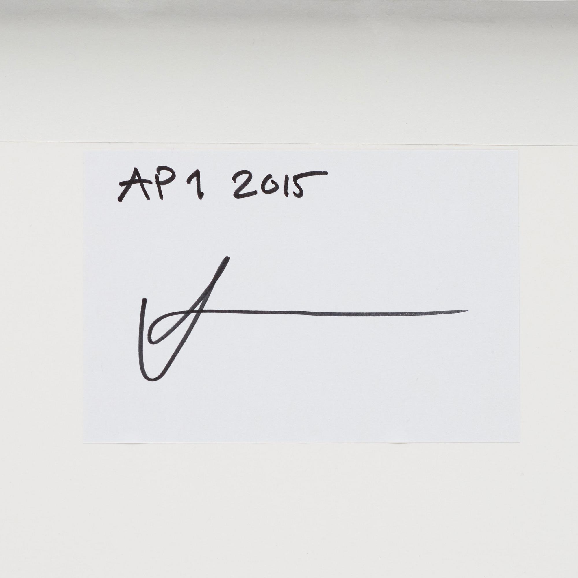 Aida Chehrehgosha, "I can't stop thinking Black Thoughts 2", 2015.