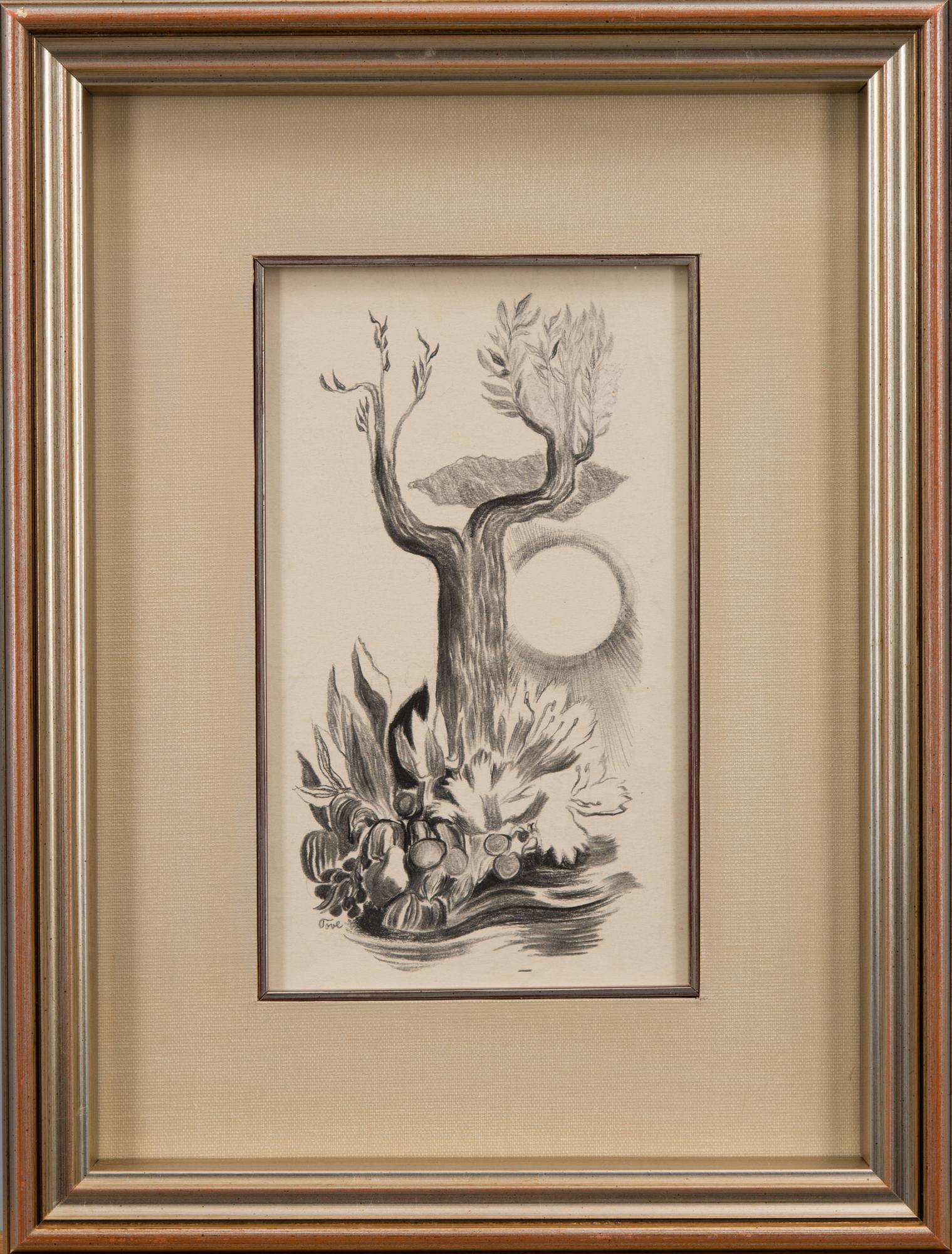TOVE JANSSON, blyertsteckning, signerad.
