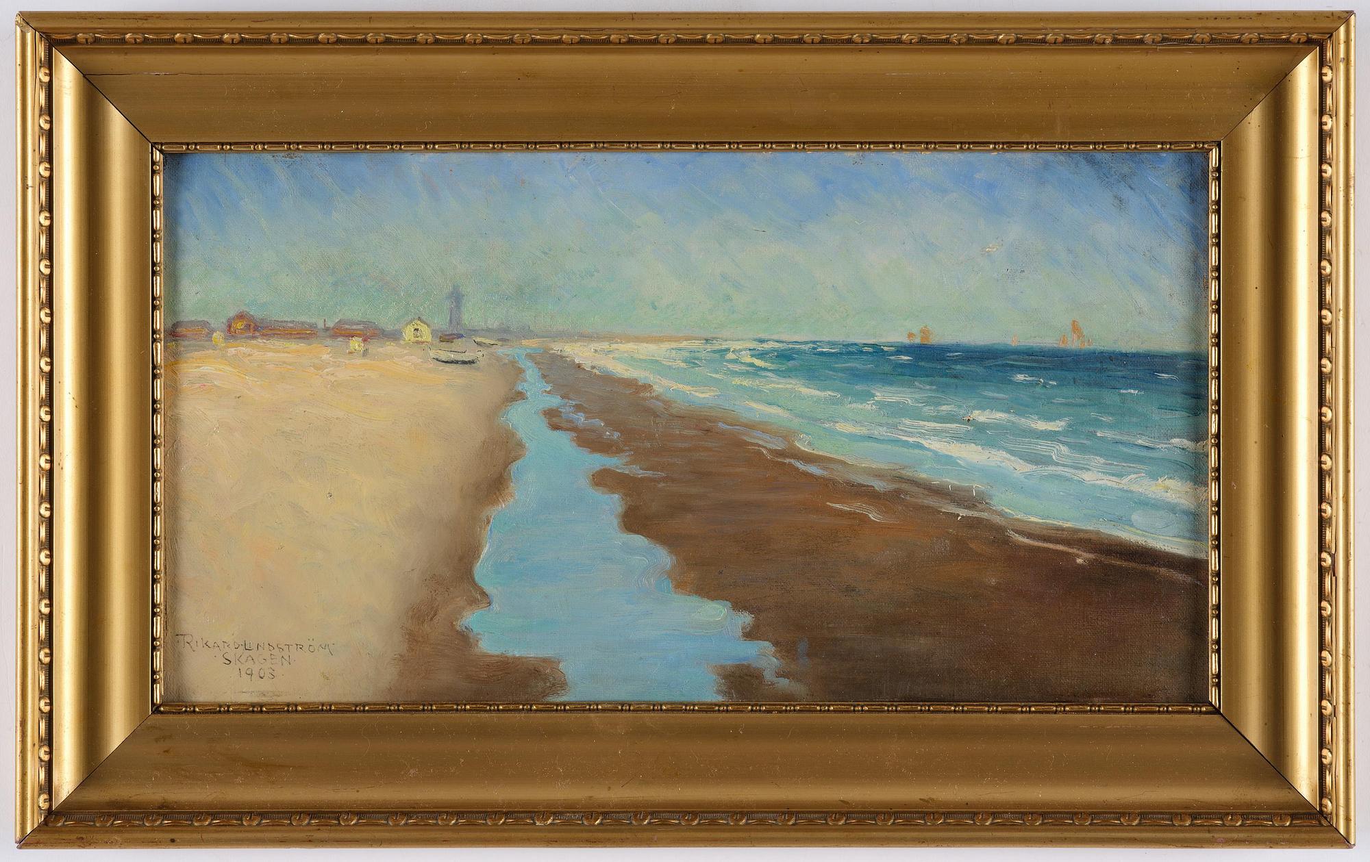 Rikard Lindström, Waves against the Skagen shore.