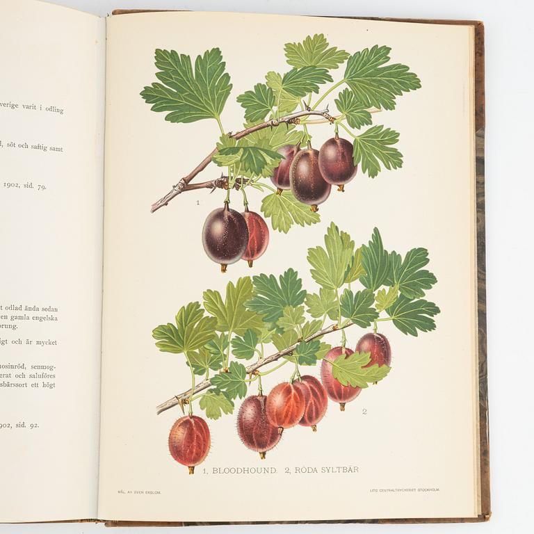 Gustaf Lind, bokverk, "Svensk frukt", samt Axel Pihl & Jakob Eriksson "Svenska Fruktsorter".