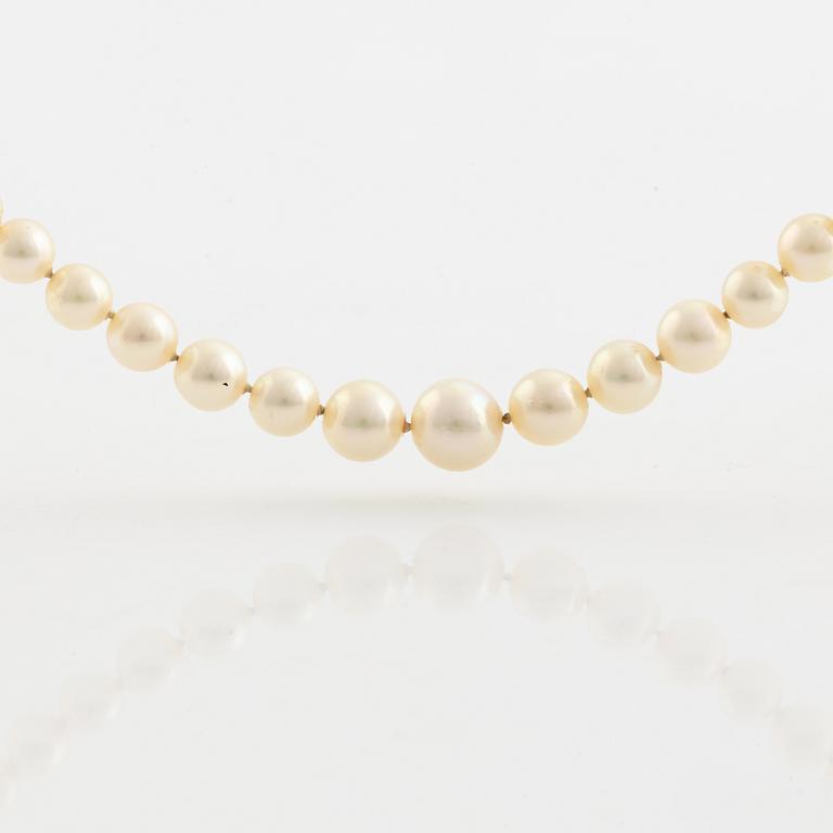 Calibrated cultured pearl necklace.