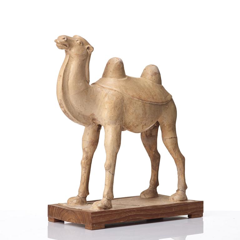 KAMEL, lergods. Tangdynastin (618-906).