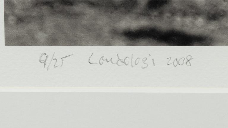 Håkan Ludwigson, "Londolozi", 2008.