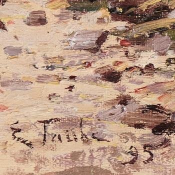 Eugen Taube, VIEW FROM THE SHORE.