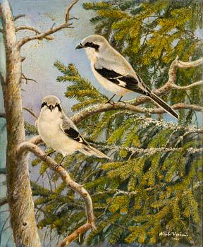 NIILO VAINIO, öljy kankaalle, pingotettu levylle, signeerattu ja päivätty 2001.