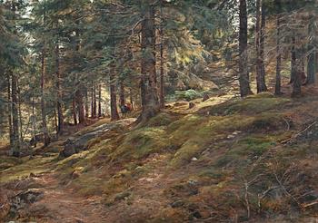 211. Berndt Lindholm, SUNLIGHT IN THE WOODS.