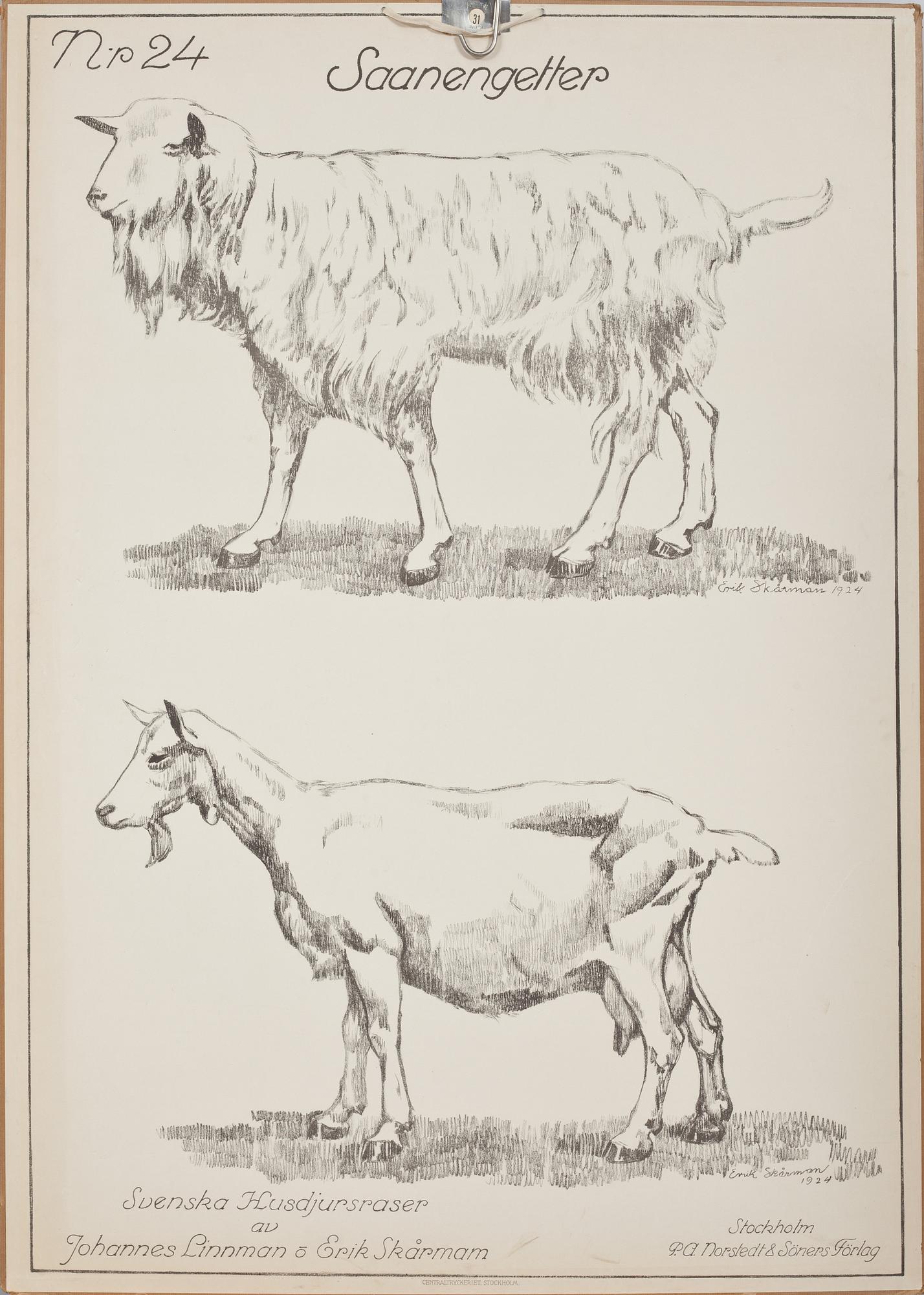 SKOLPLANCHER, 3 st, 1900-tal.
