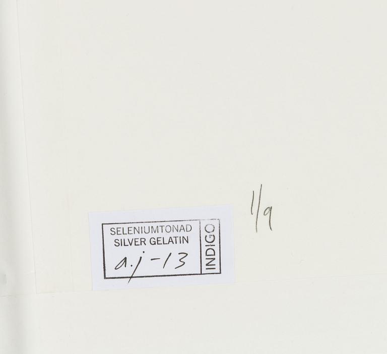 Lennart Nilsson,  "Isbjörnsjakt vid Hvitøya (Vitön), Svalbard, Norge 1947".