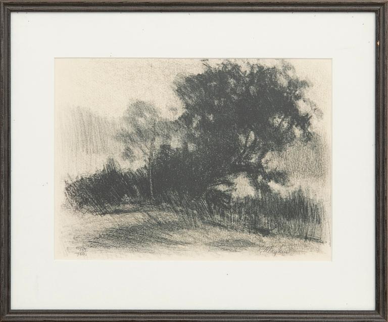 Richard Mayhew, Untitled.