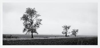 215. Pentti Sammallahti, "MONTANA, BULGARIA".