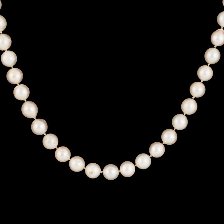 Cultured pearl necklace, clasp 18K white gold.