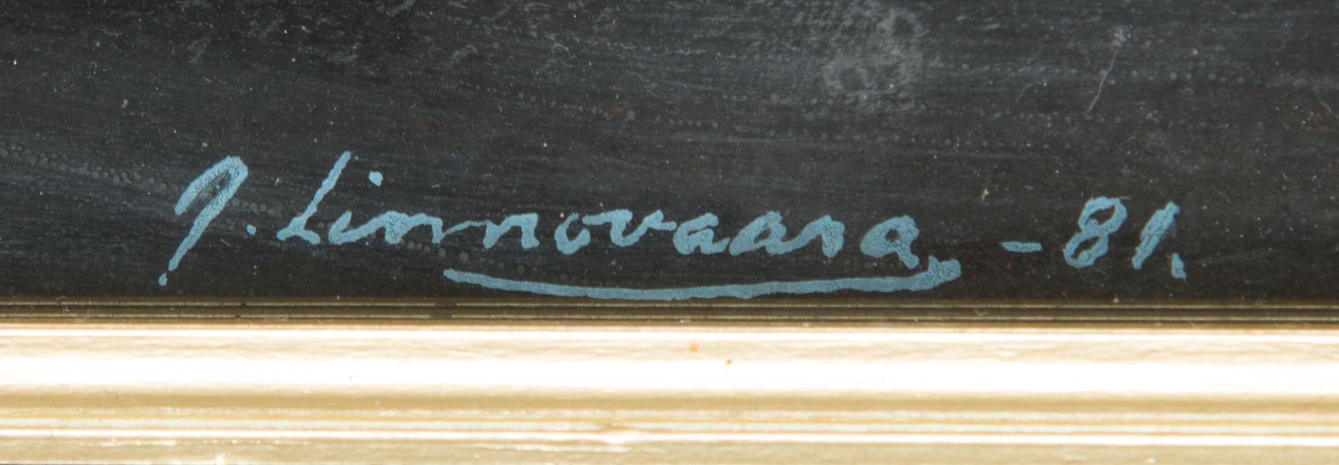Juhani Linnovaara, 'Strange occurence'.
