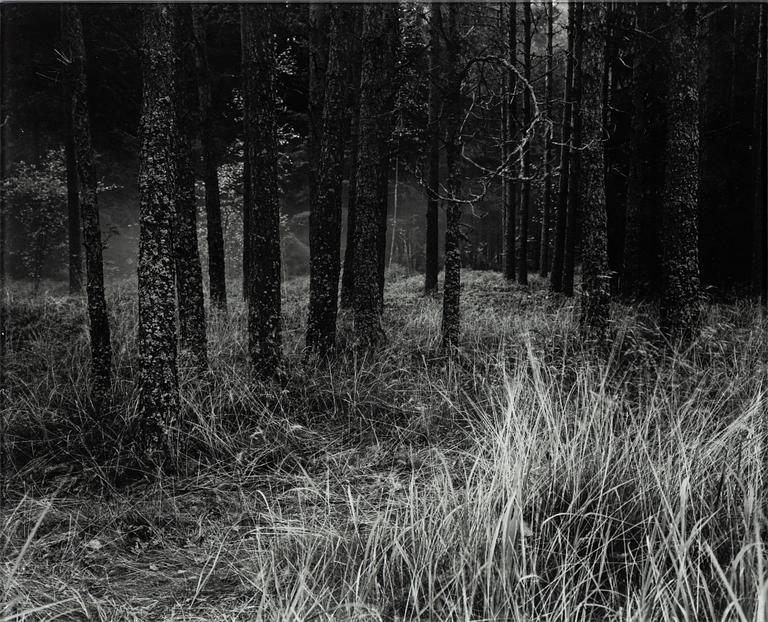 Denise Grünstein, "Malplacé", 2005.