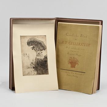 ALBERT THEODOR GELLERSTEDT, mapp med grafiska blad 30 st, Stockholm P.A Norstedt & Söners förlag, 1918.