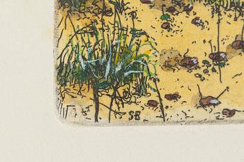 Sten Eklund, "Översiktsbild av den ditintills rådande vegetationstypen". From "Kullahusets hemlighet". Book included.