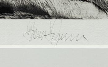 Håkan Ludwigson, "Londolozi", 2008.