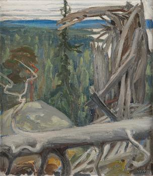 Akseli Gallen-Kallela, Storm-Broken Dry Pine.