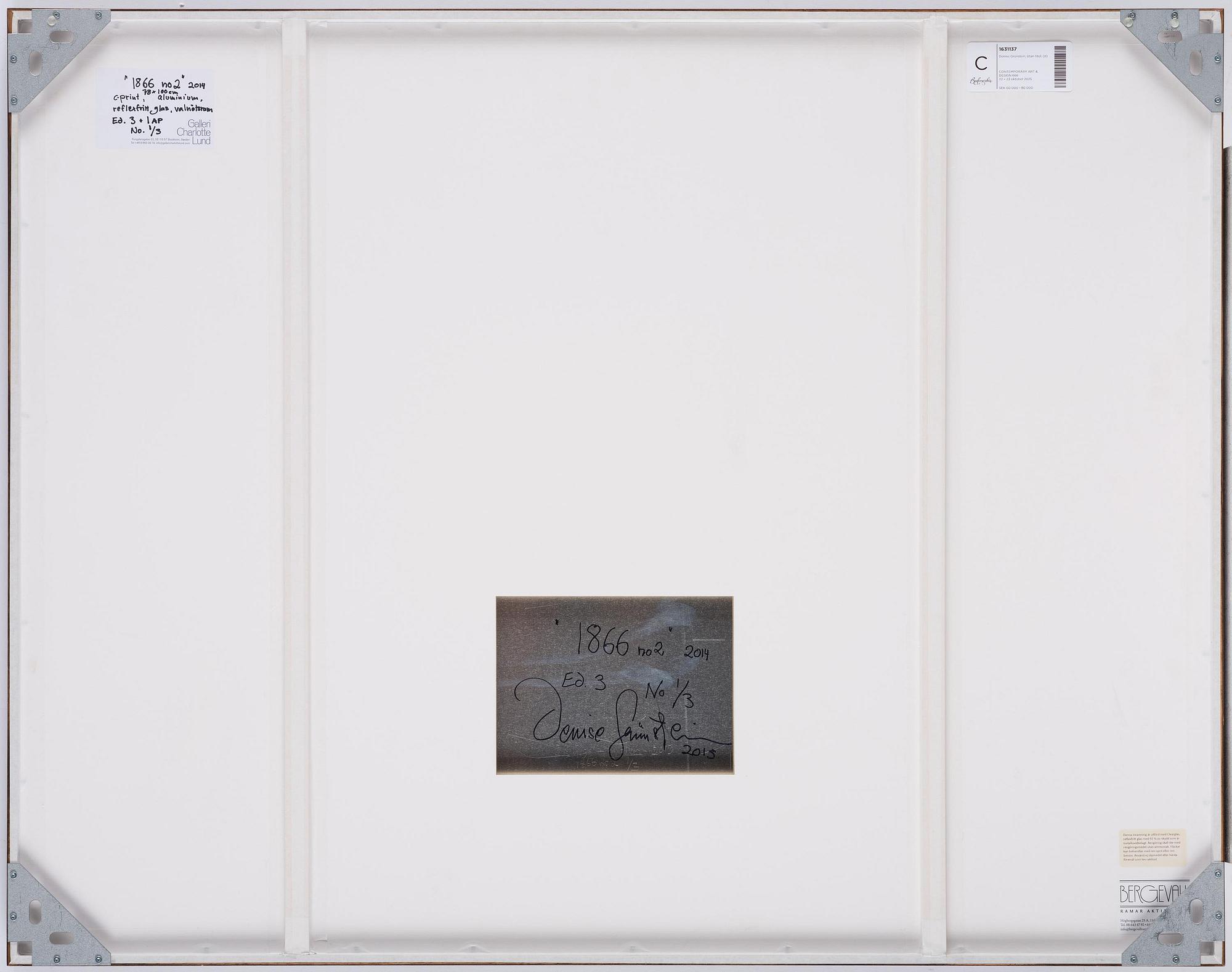Denise Grünstein, "1866 No. 2", 2014.