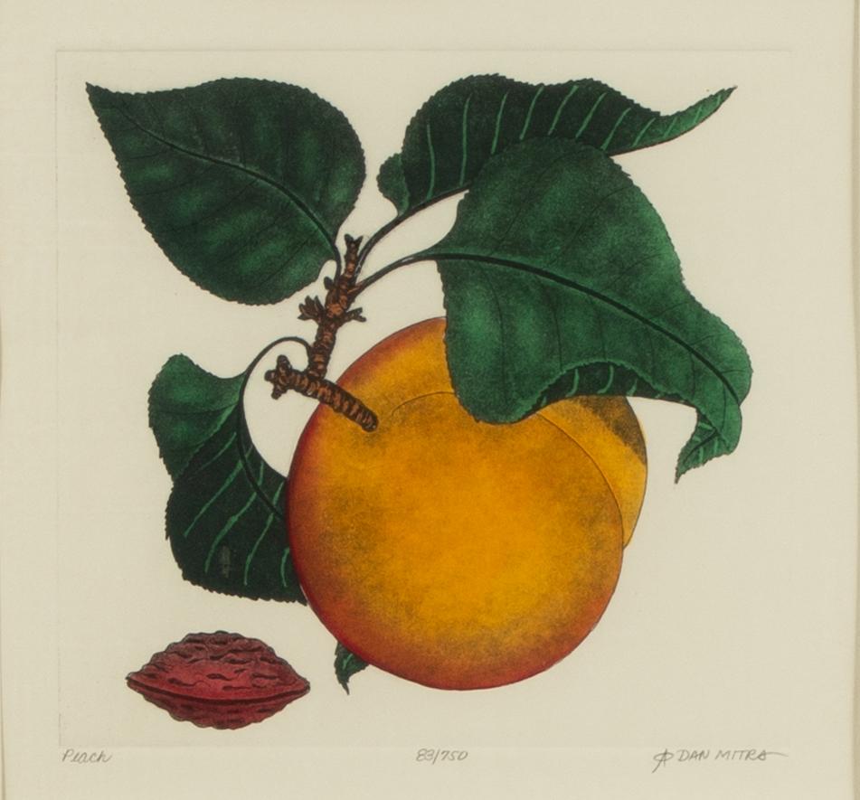Dan Mitra, a suite of six etchings, framed together.