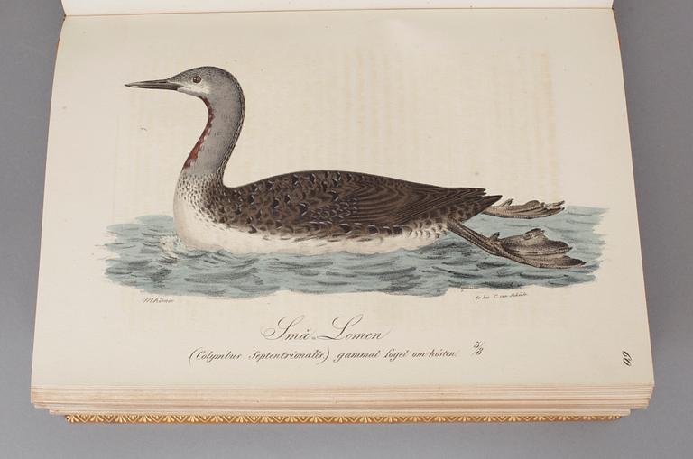 ILLUMINERADE FIGURER TILL SKANDINAVIENS FAUNA MED TEXT UTGIFNE.1-2. S.NILSSON. (Stockholm)& Lund 1832-1840. (2).
