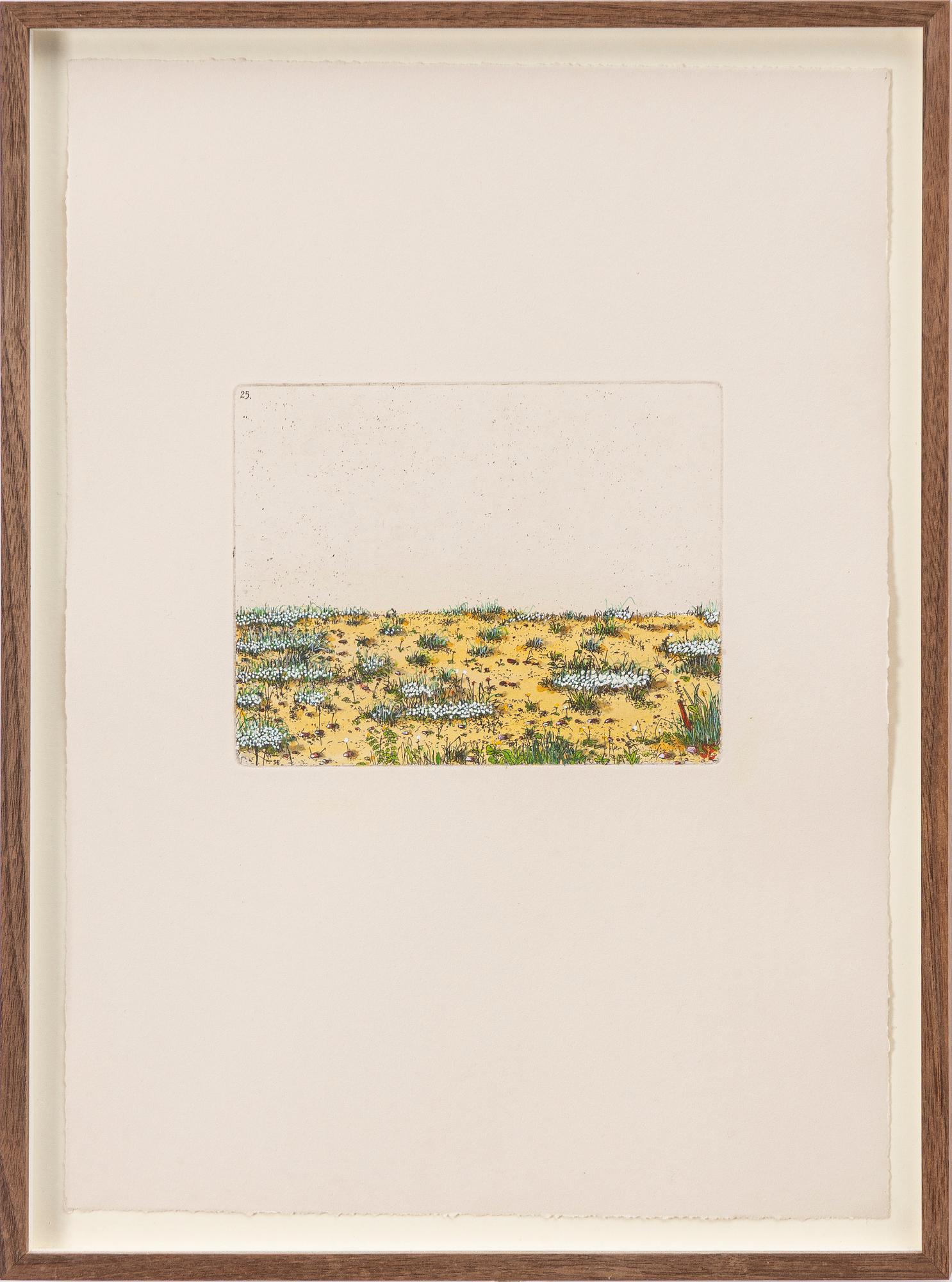 Sten Eklund, "Översiktsbild av den ditintills rådande vegetationstypen" Ur "Kullahusets hemlighet".