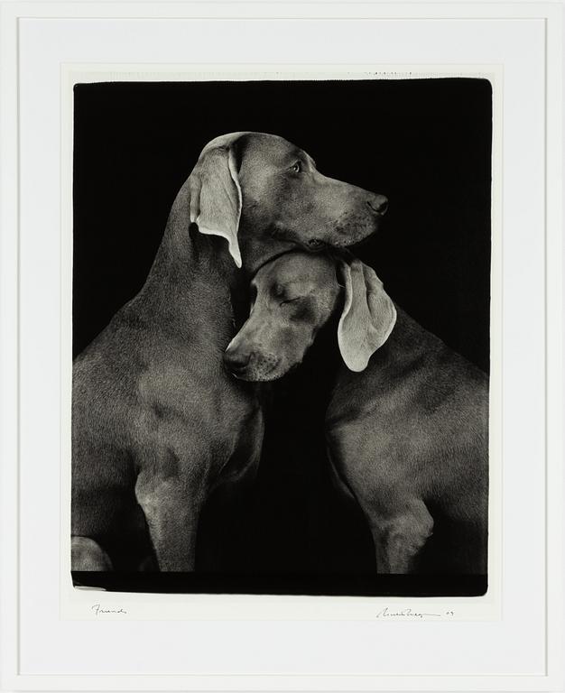 William Wegman, "Friends".