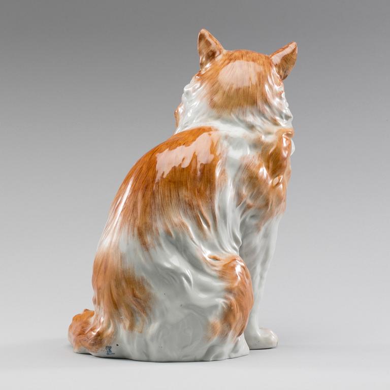 A DRESDEN FIGURIN CAT, FIRST HALF OF 20TH CENTURY.