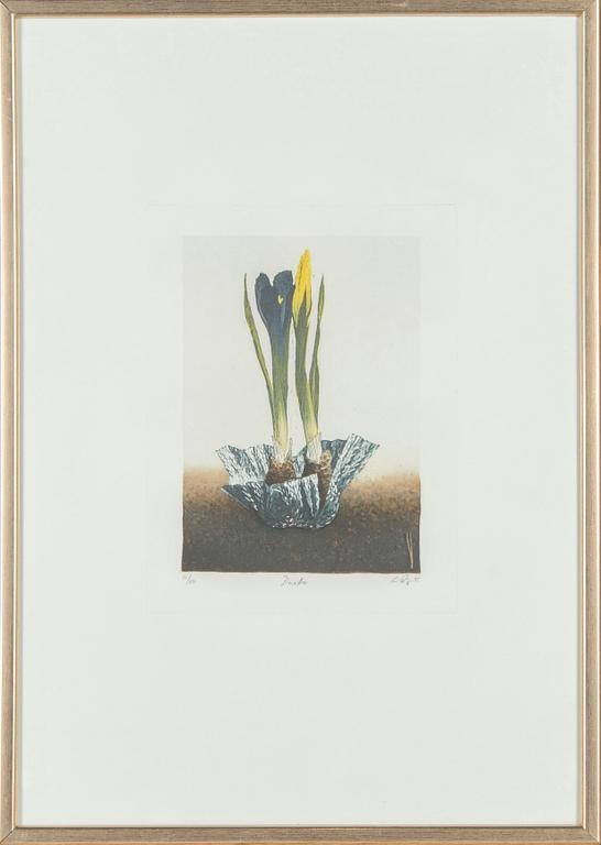 Esa Riippa, "Duetto".