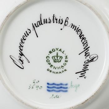 ROYAL COPENHAGEN, a 'Flora Danica' porcelain bowl and dish, Denmark, 1968.