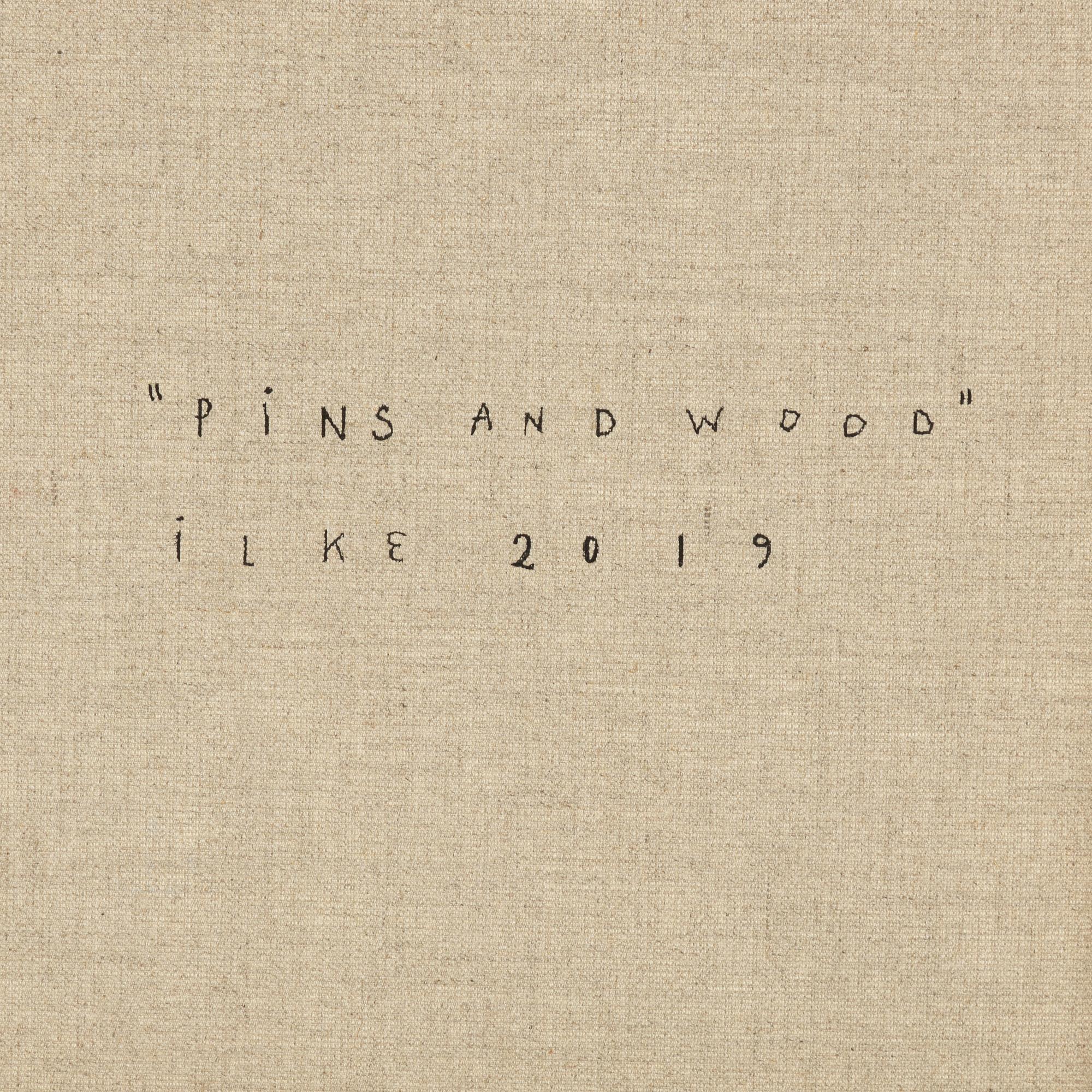 Emilia Ilke, "Pins and Wood".
