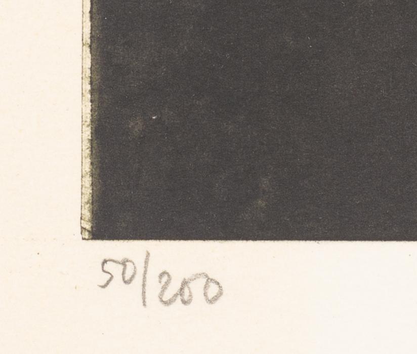 Roj Friberg, Björkskog.