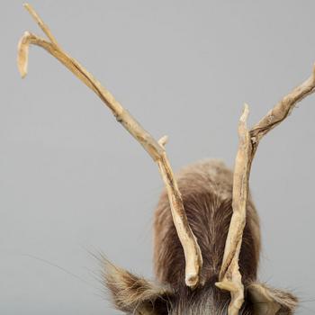 A Sami reindeer fur figure of a reindeer.